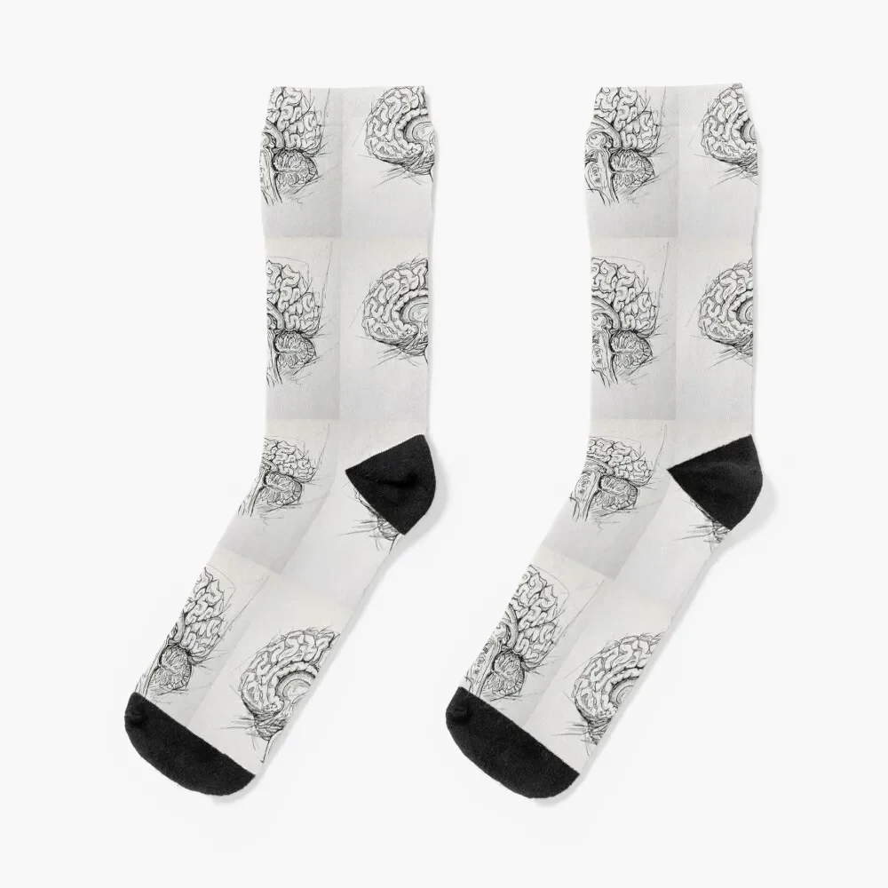 Brain Socks japanese fashion Running Luxury Woman Socks Men's