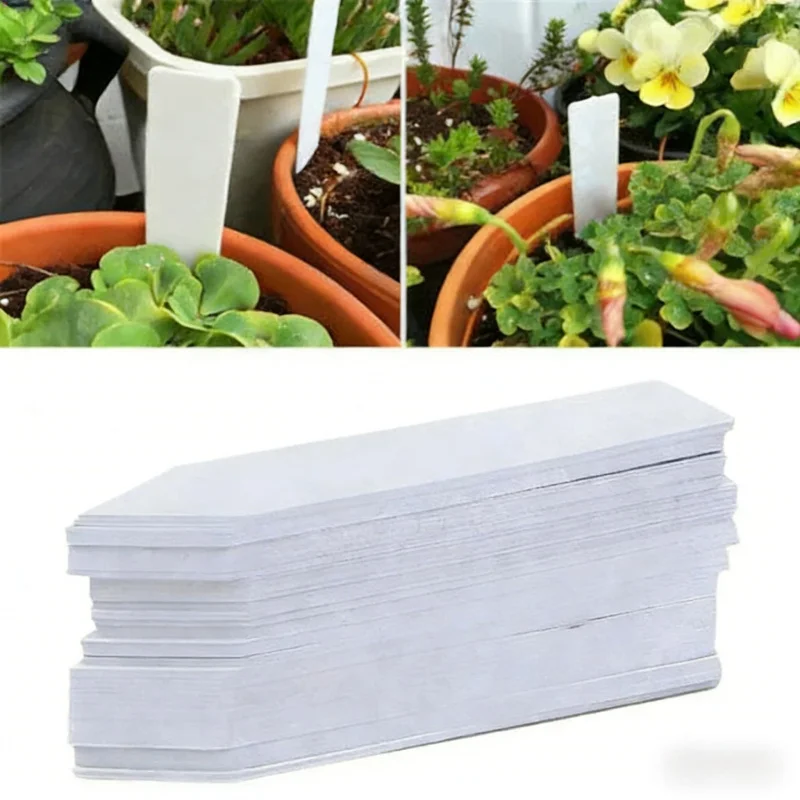 Succulent Plant Label1003D Ground Insert Waterproof Sun Protection Label SignDIYPlanting Tools Gardening Supplies