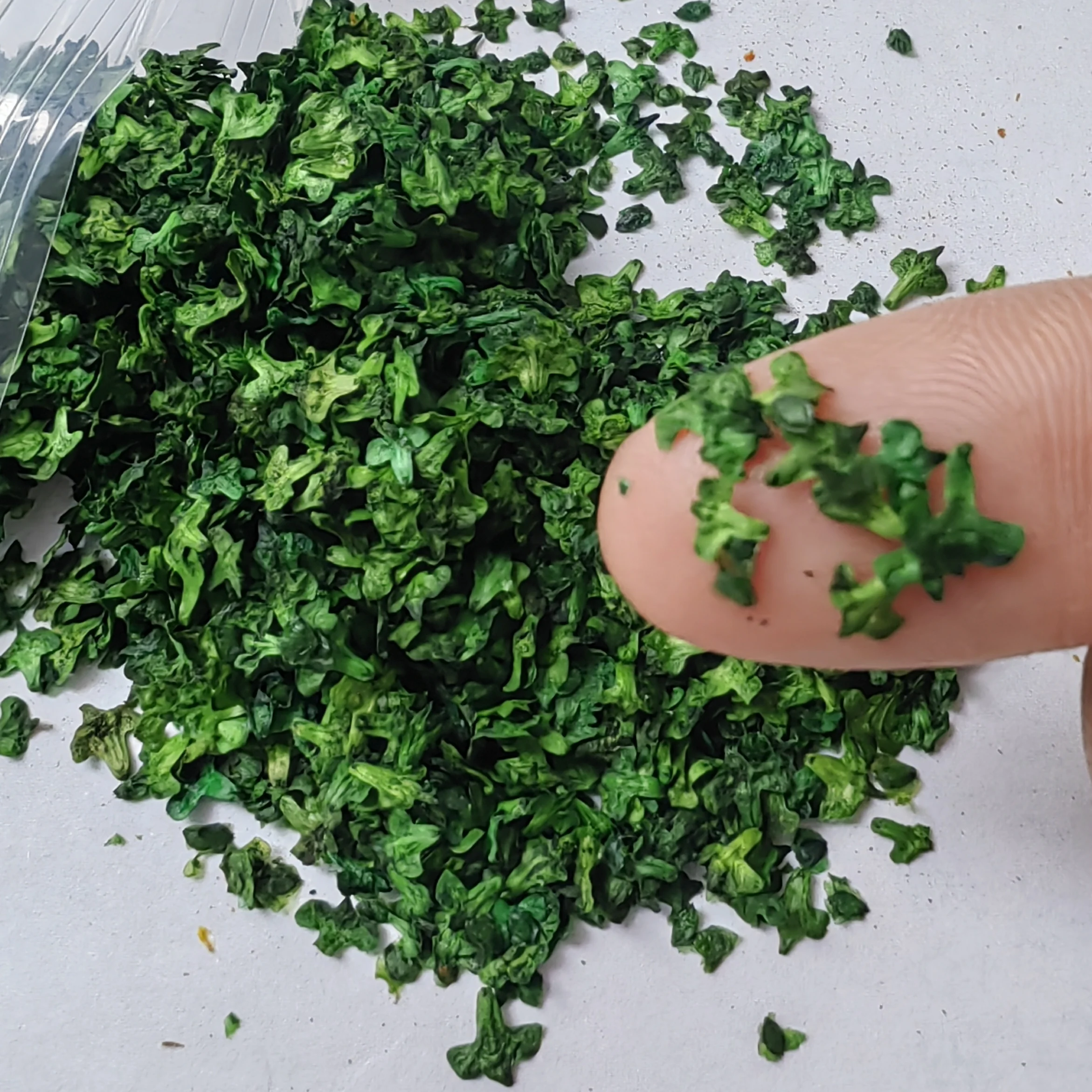 33ml Realistische Miniatuur Bladeren Simulatie Bladeren voor DIY Modellering Baseren Spoorweg Bonsai Fairy Garden Diorama Supplies GroundKit