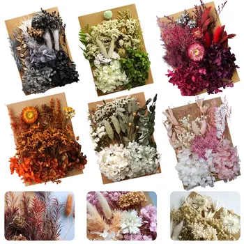 Preserved Dried Real Flowers 1