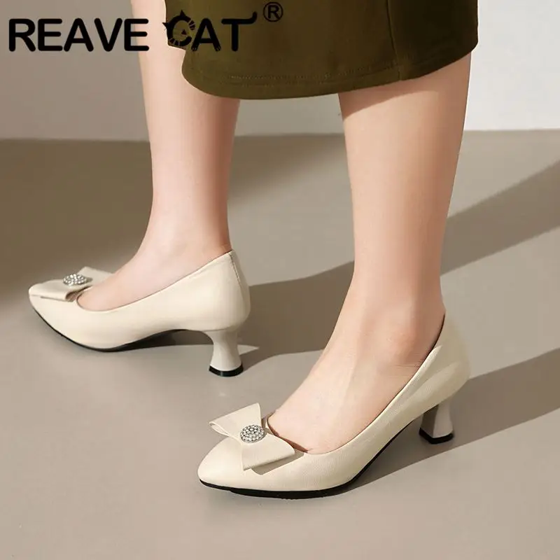 

REAVE CAT Elegant Female Pumps Pointed Toe Small Heels 5.5cm Shallow Bowknot Plus Size 48 50 52 Slip On Women Daily Shoes Spring