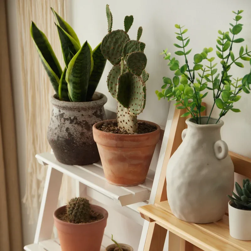 C11 multi-layer flower pot rack solid wood floor-to-ceiling green plant flower shelf indoor balcony living room rack trapezoidal