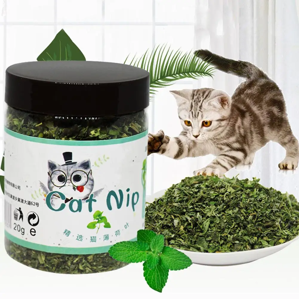 High-end Organic Natural High Quality Catnip Cattle 20g Cat Supplies Cat Toy Mint Interactive Pet Grass Funny Taste Toys N9M5