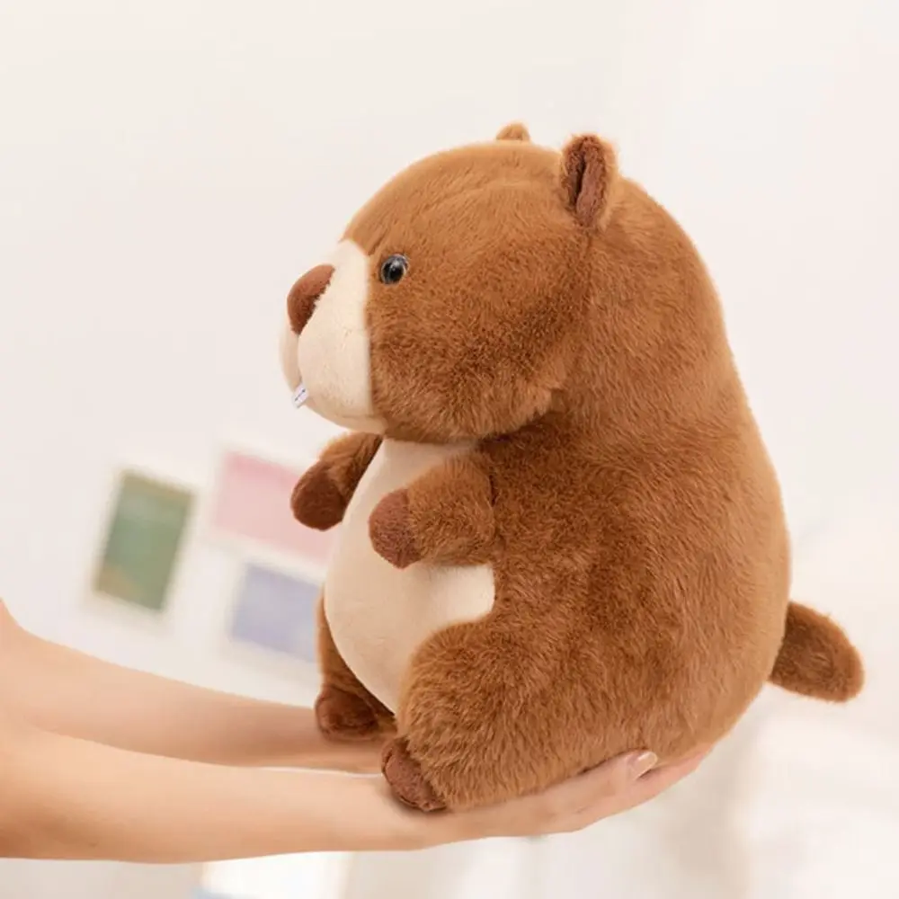 Simulation marmotte PP coton moelleux peluche dessin animé marmotte poupée à la main interactif potelé marmotte en peluche