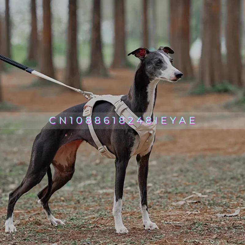 مكافحة كسر رقيقة ضوء الراحة الكلب تسخير Arnes Perro Pitbull Whybit السلوقي يسخر الكلاب اكسسوارات مستلزمات الحيوانات الأليفة #5