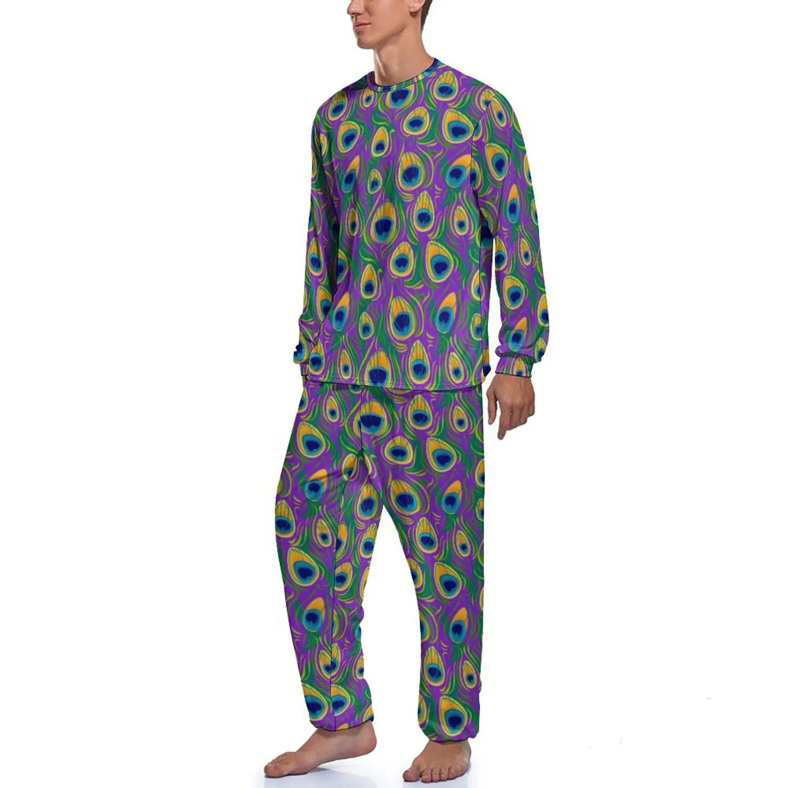 Pretty Birds Pajamas Male Peacock Feathe Print Cool Nightwear Daily Long Sleeve 2 Pieces Aesthetic Graphic Pajamas Set