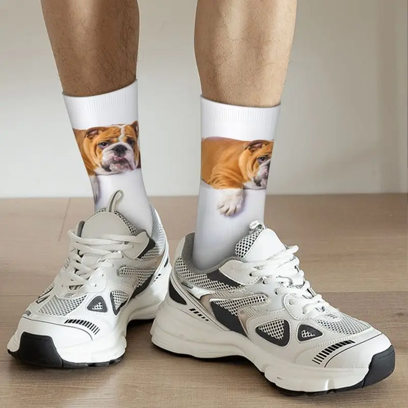 Calcetines con estampado 3D para hombre y mujer, medias deportivas cálidas con estampado de Bulldog Inglés y británico, a la moda, para amantes de los perros y baloncesto