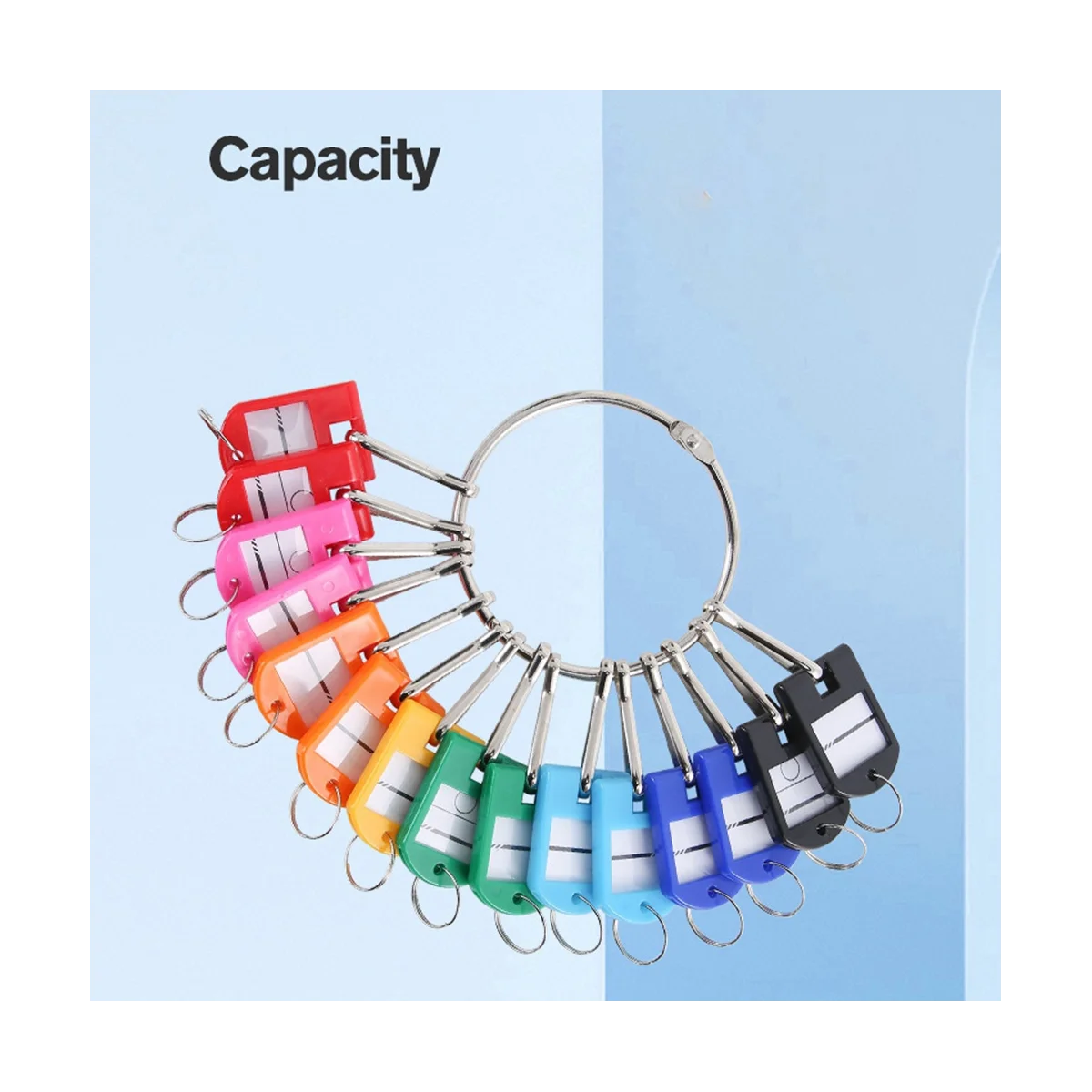 Portable Metal Ring Key Organizer with 10 Spring Hooks & Key Tags with Ring and Label Window