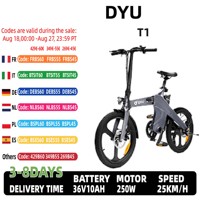 DYU-T1 250W Rack Electric Bike with Brushless Motor, 36V 10Ah Lithium Battery, Magnesium Alloy, For 20 Inch Adult