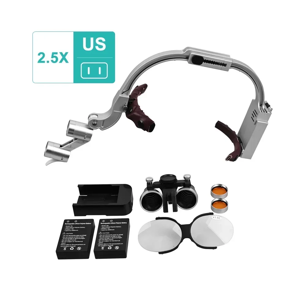 Variant: Silver 2.5X US Plug