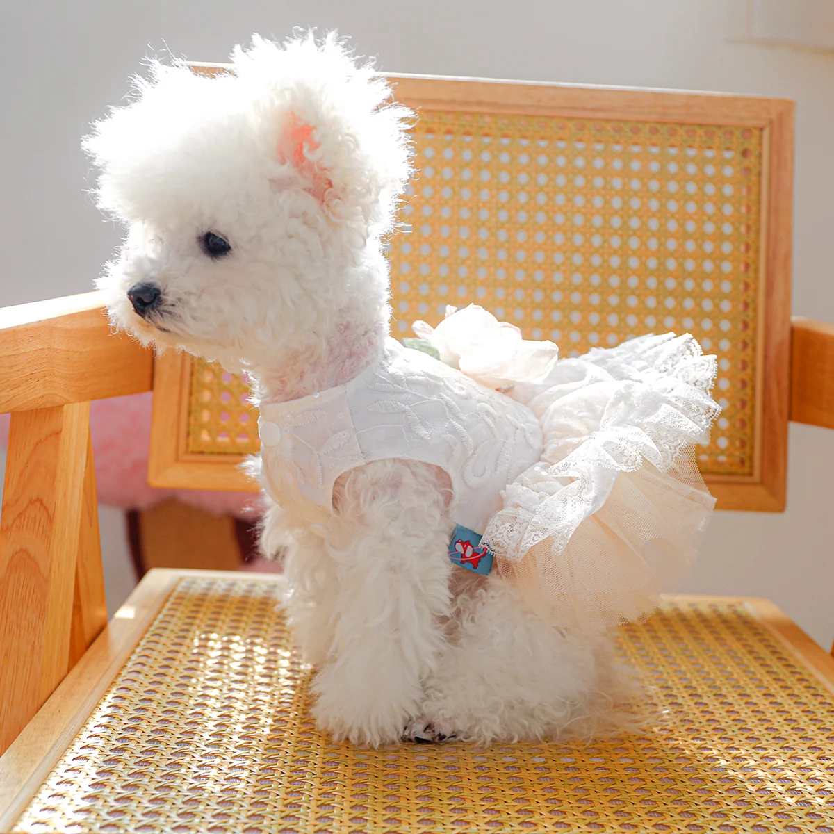 1PC Pet Clothing Cat Spring/Summer Thin White Retro Flower Dress Princess Wedding Dress Suitable for Small and Medium Dogs