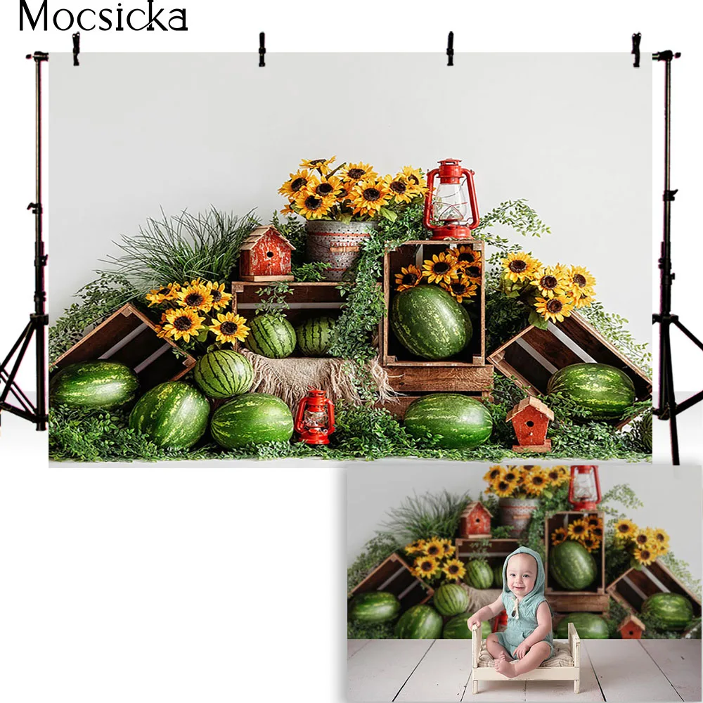 Summer Watermelon Photography Background Children Portrait  Wallpaper Blue Forest Birthday Party Decoration  Studio