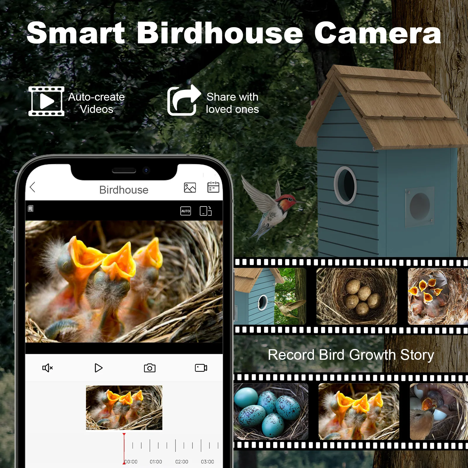 Intelligent Vision Wooden Hatch Conforms To Bird Habits Bird Hatch Video Recording Aviary Bird Nest