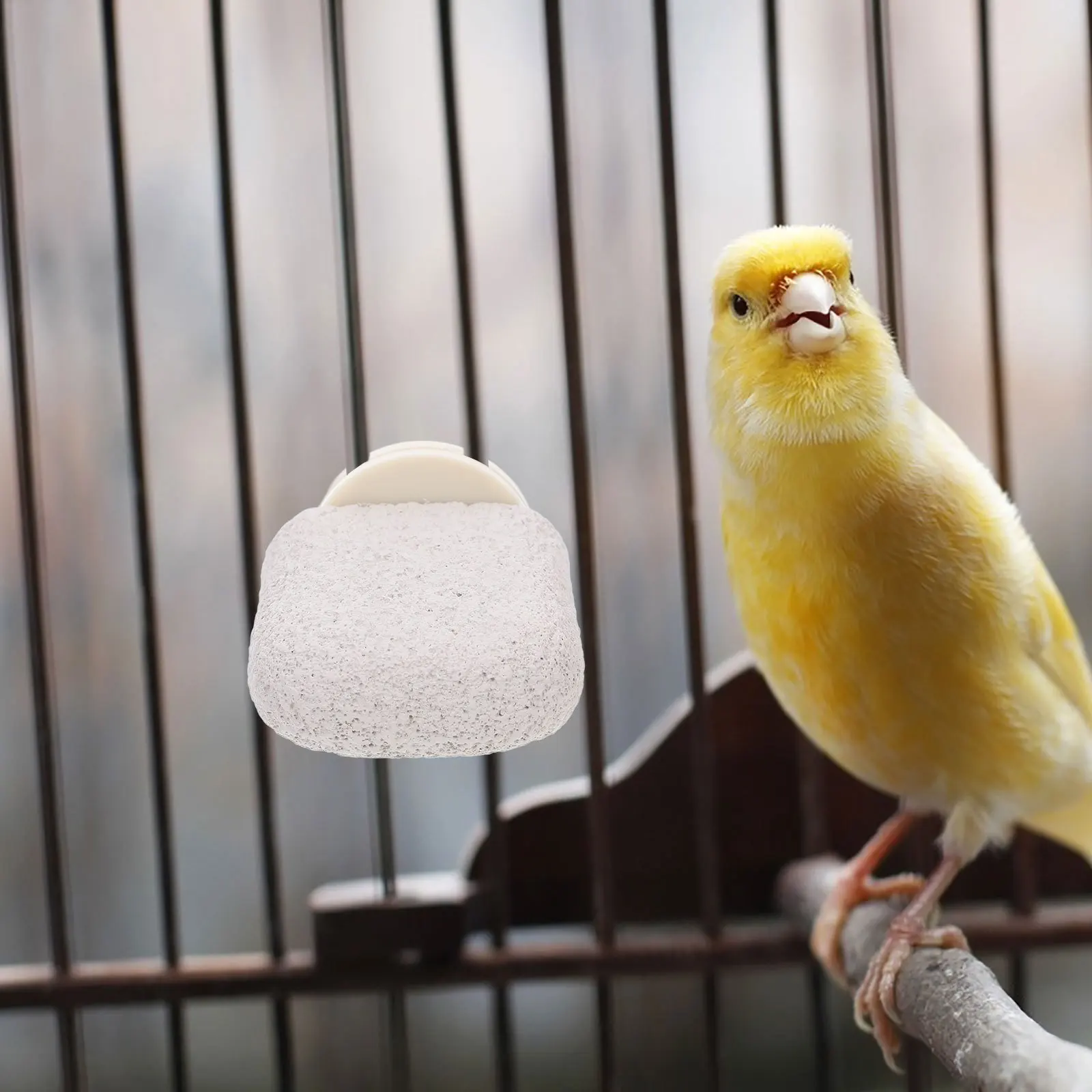 

Bird Perch Platform Sturdy Natural Wood Standing Rod for Parrot Cage Decor and Exercise Bird Cage Accessories for Small Birds