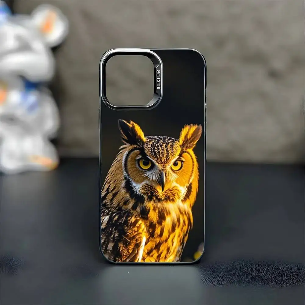 Owl Phone Case For iPhone17,16,15,14,13,12,11 Pro Max Blcak Colorful Silver Plated Inside Phone Case