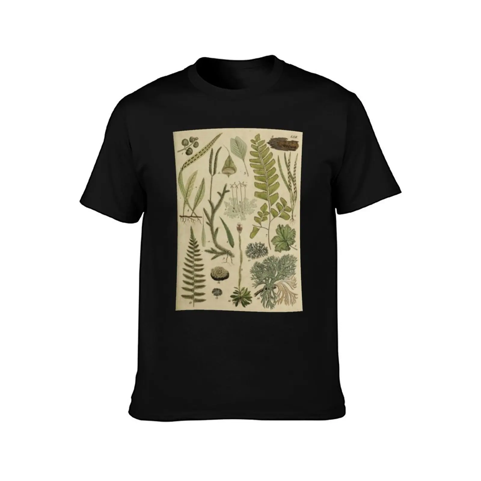 Ferns And Lichen T-Shirt Summer Casual Cotton Tee Oversized Streetwear Tops Vintage Graphic Print Loose Fit Short Sleeve