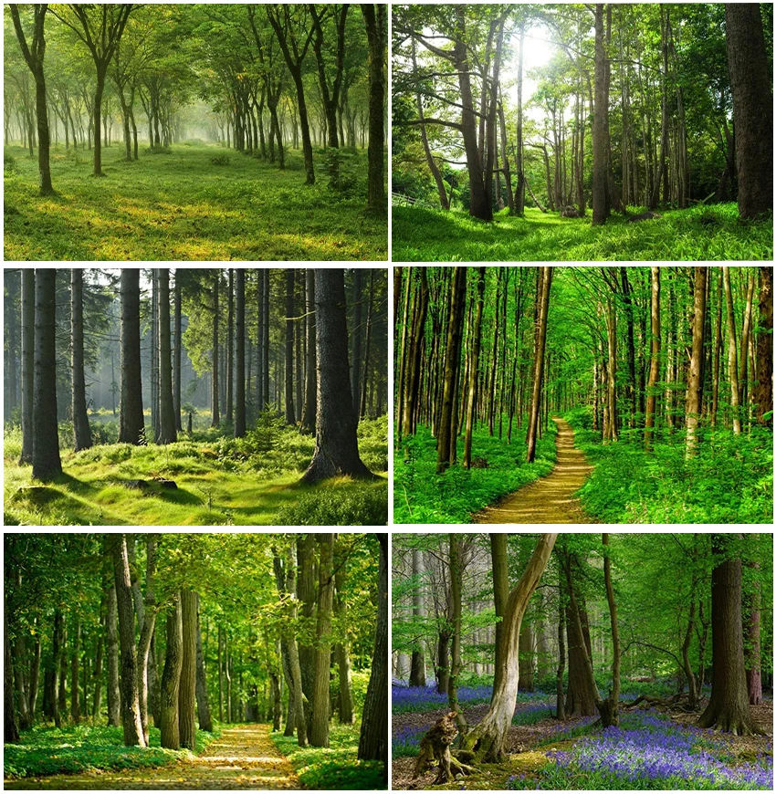Wiosenny naturalny krajobraz tła fotograficzne drewniane leśne dżungla Sunshine tła Studio Banner rekwizyty do zdjęć