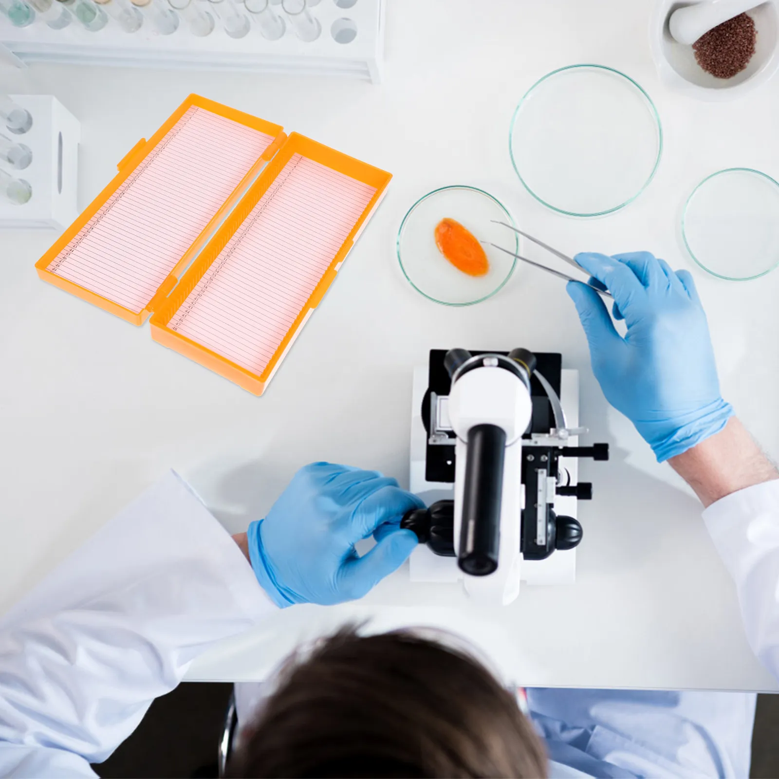 

Glass Slide Storage Box Slotted Channels for Neat Arrangement Microscope Slide Organizer Long-Lasting Use Home School Lab