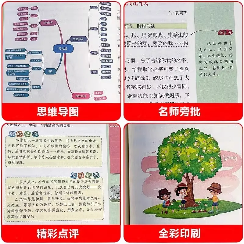 مجموعة كاملة من كتب التكوين الممتازة لطلاب المدارس المتوسطة، نماذج المقالة المختارة، كتب مهارات الكتابة