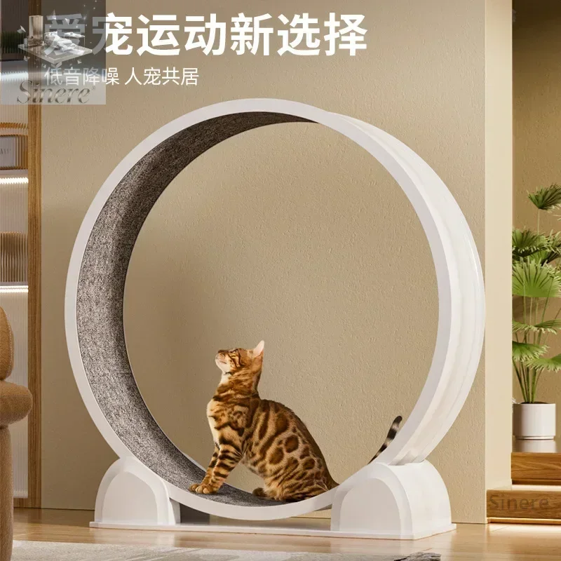 

Пластиковая беговая дорожка с цифровым дисплеем, бесшумное колесо, беговая дорожка для кошек, спортивная шлифовальная дорожка с когтями, рама для скалолазания