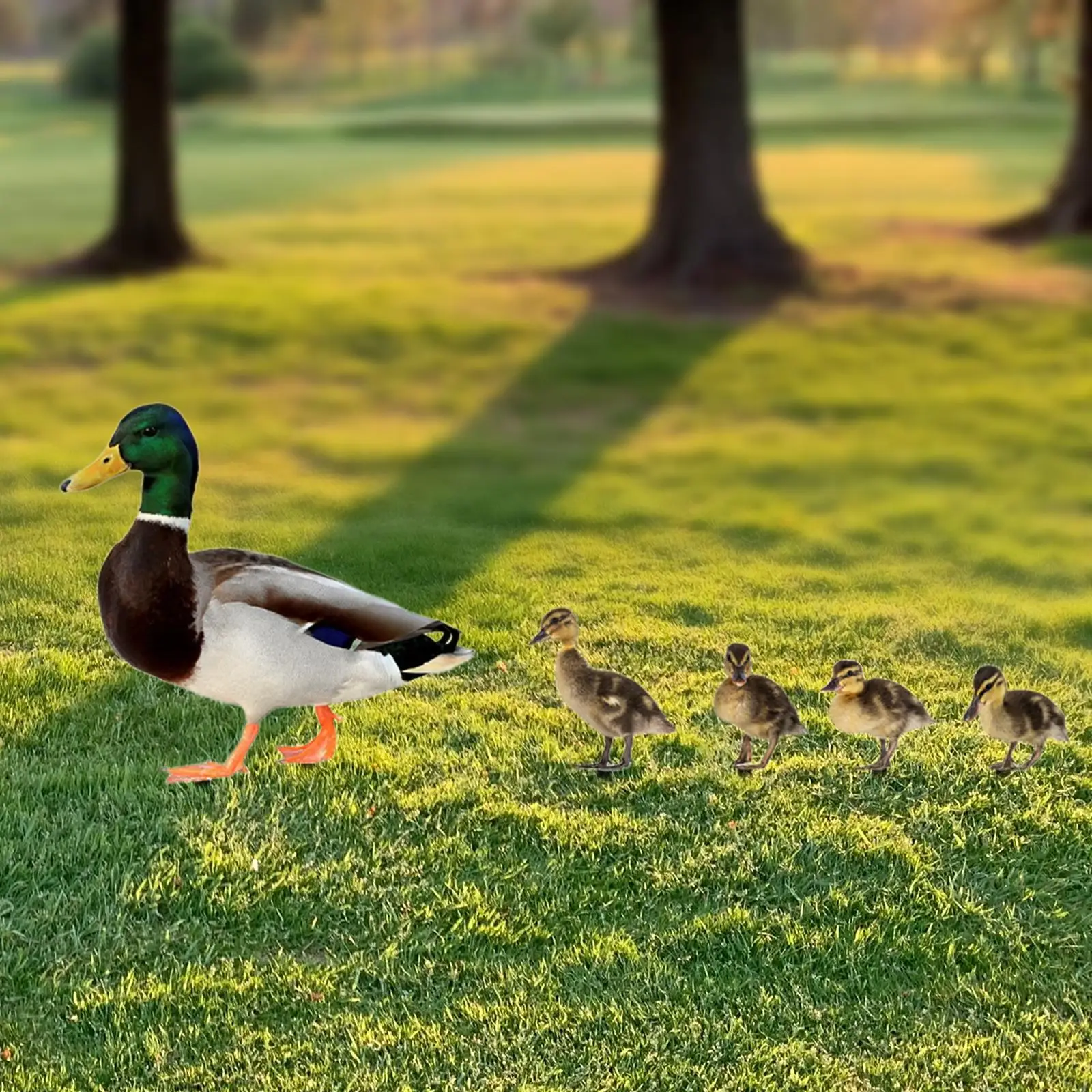 5x Lifelike Duck Metal Garden Stakes, Ground Insert Ornaments for Farmhouse Lawn Courtyard, Outdoor Decor