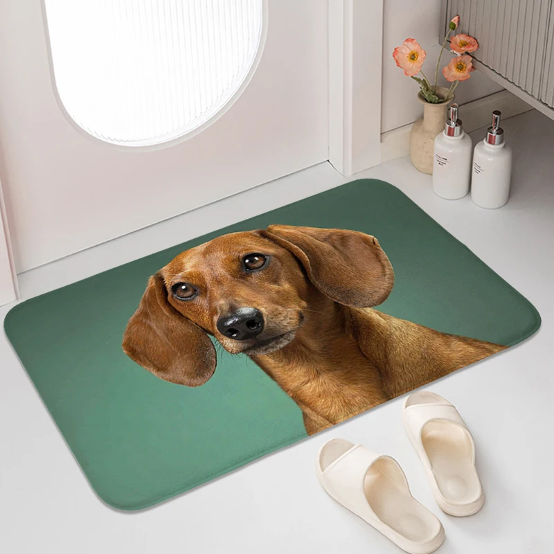 

Dachshund Dog Carpets for Living Room Bedroom Bathroom Rug Home Decorations Washable Non-slip Kitchen Mats Entrance Doormat