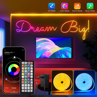 RGB Flexible Music Sync Neon LED Strips with App/Remote, Multiple Modes, DIY Design, IP65 Waterproof Music Sync Outdoor for Room