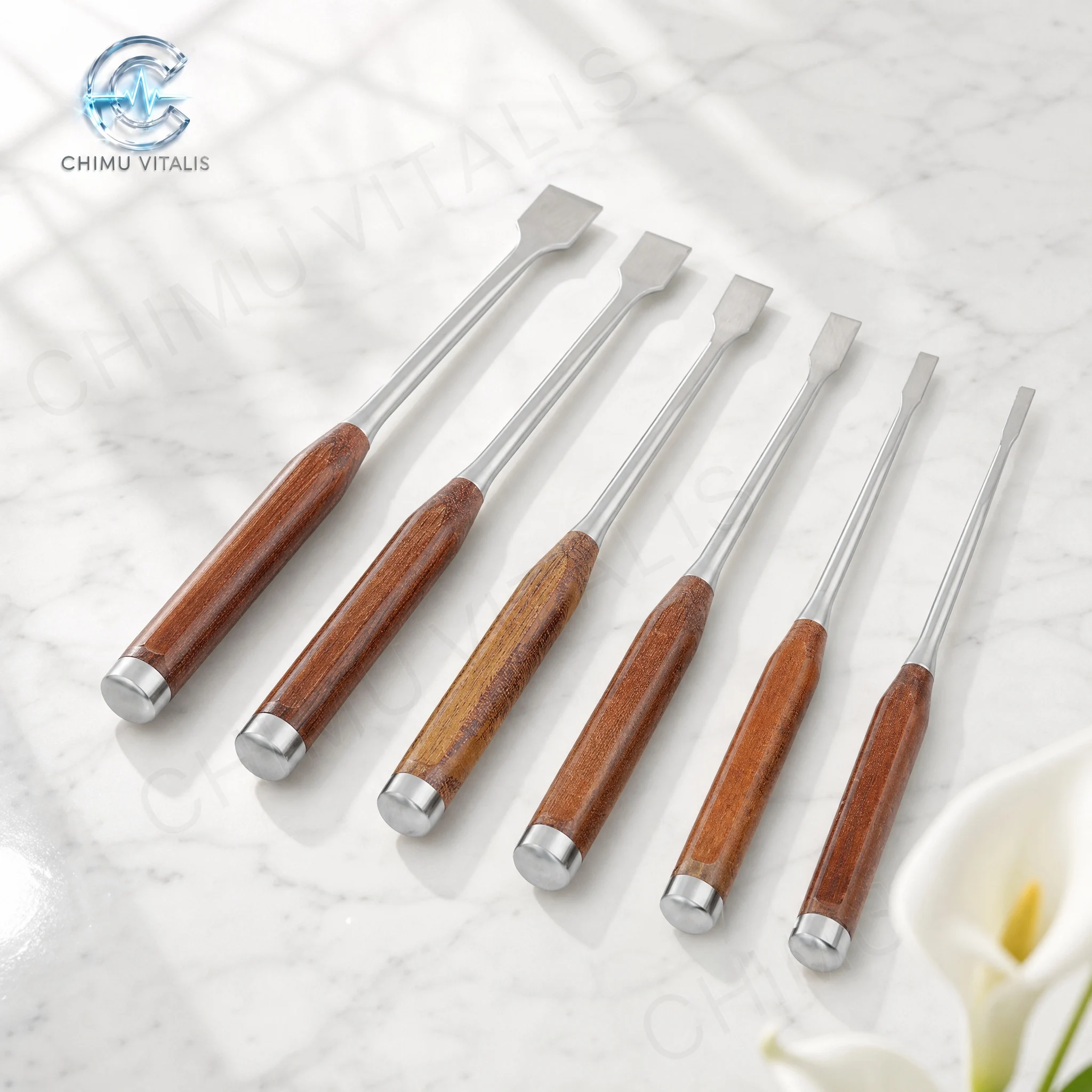 【CHIMU VITALIS】Veterinary Osteotome Chisel Flat Curved Gouge Wood Handle Stainless Steel Clinic Procedure Hand Instruments
