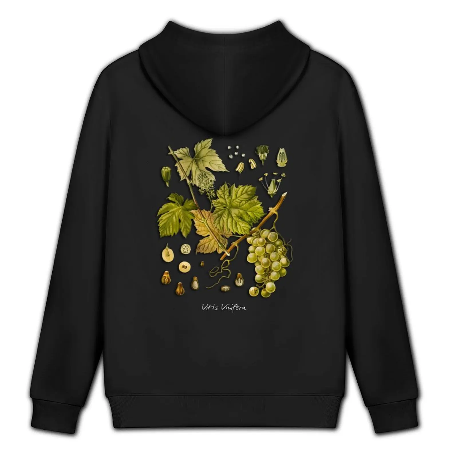 Vitis vinifera ملابس رجالية بغطاء للرأس ملابس رجالية على الطراز الياباني ملابس أنيمي بدلة رياضية للرجال