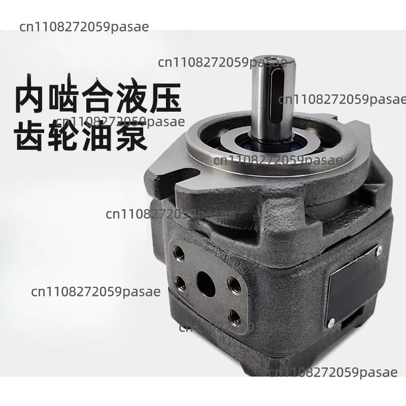 HG1-63-01R-VPC Internal Meshing Servo Oil Pump HG0 CP0-8/16/20/32 HG2-125