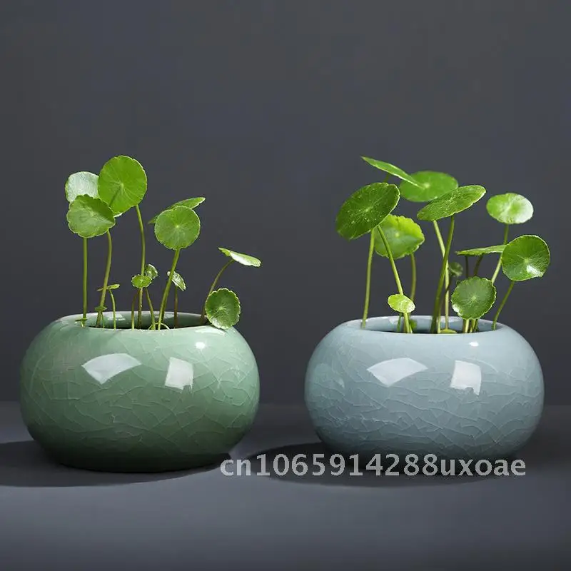 

Copper coins, grass vases, desktop flower ornaments, hydroponic small flower pots, ceramic flower pots, potted plants