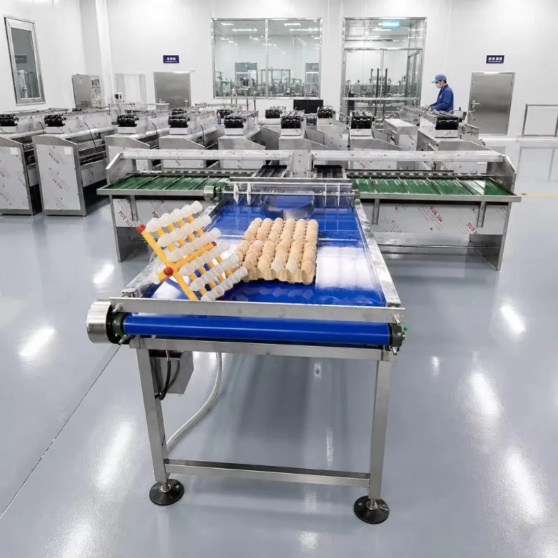 Stainless Steel Egg Sorting Grading Machine 5400 Eggs/H High Efficiency Sorter Classifier for Chicken Farm Custom