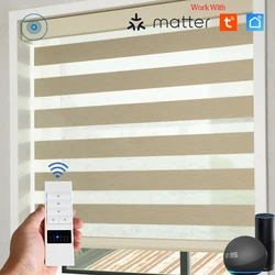 SmartMatters Motorized Zebra Shades for Windows, Day Night Blackout Roller Blinds for Livingroom, Bedroom, Door, Custom Sizes