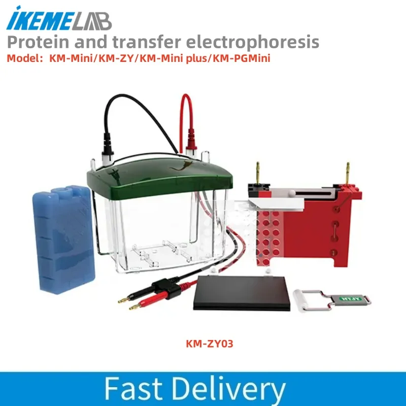 

IKEME Fast High Quality Electrophoresis Machine Laboratory Protein Transfer Electrophoresis tank HB Gel Electrophoresis System