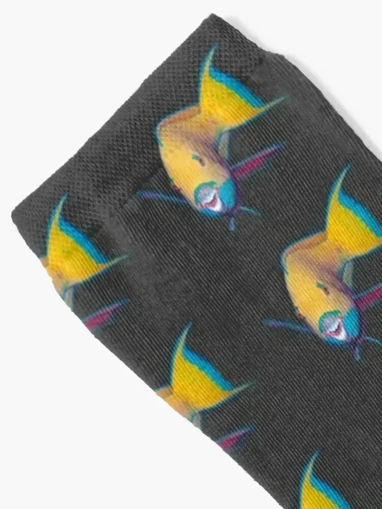 Parrotfish | What a striking make-up! | Socks Novelties winter thermal Socks Female Men's