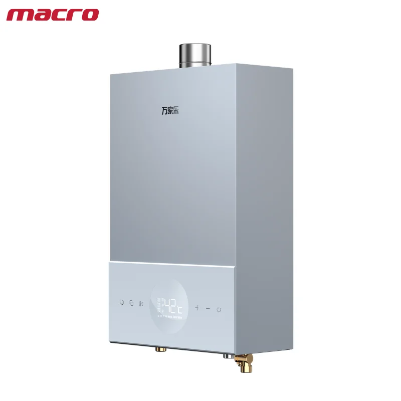 Novel Design Remote Control Macro Gas Water Heater 13/16L Multiple Capacity Tankless Gas Water Heater