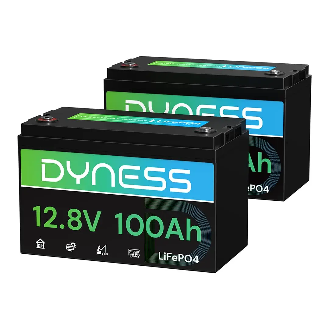 12V 100Ah LiFePO4 Lithium Battery (2 Pack) BCI Group 31 with Low-Temp Protection, A+ Grade Cell Built-in 100A BMS, 12, Custom