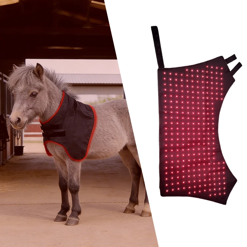 Comprehensive Equine Physical Therapy Solution Red Light Therapy for Horses Including Blanket, Boots, Pad