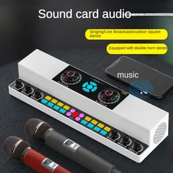 （English version）Y6 Live Singing Sound Card Audio All-in-One Indoor Outdoor Square Dance Karaoke Wireless Bluetooth Speaker