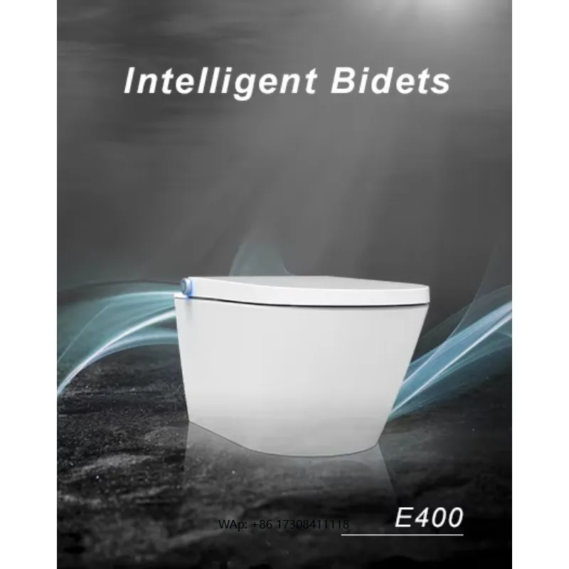 Low Energy Electricity Saving Heating Toilet Seat Winter Only Wall Hung WC Heating Toilet