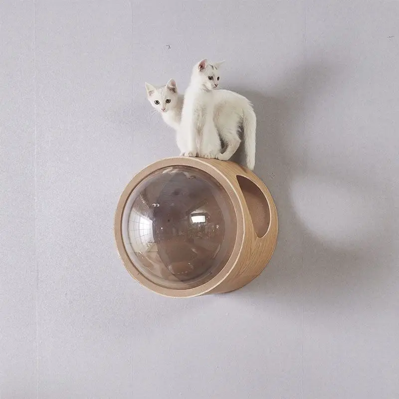 Cat tree wall mount - solid wood, integrated design, large size