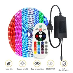 Waterproof RGB LED Strip Light EU 220V Remote Controller Changing Color Neon Ribbon Lamp 60leds/m Multicolor Garden Decoration