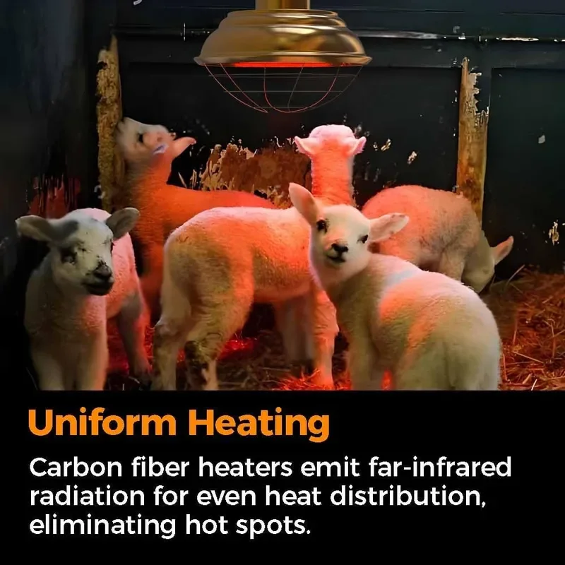 600 Watt Large Range Chicken Coop Heater Professional Heat Lamp for Chicken Poultry and Livestock