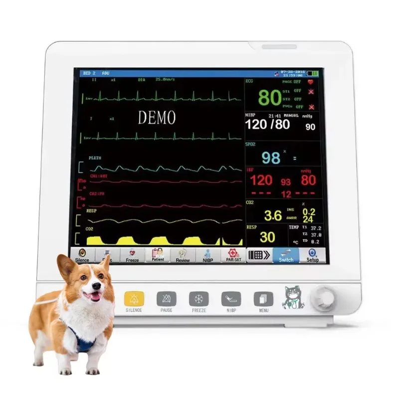 

Высококачественное ветеринарное оборудование для клиник и больниц: инструменты для экзотических животных