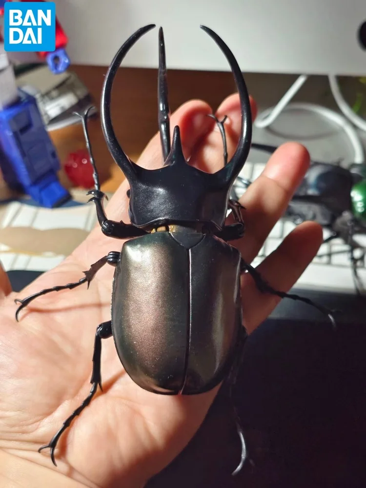 بانداي تشالكوما أطلس القوقاز خنفساء نموذج متحرك لعبة زخرفة الحشرات فائقة الواقعية لهواة الجمع شخصيات الحركة الأصلية #4