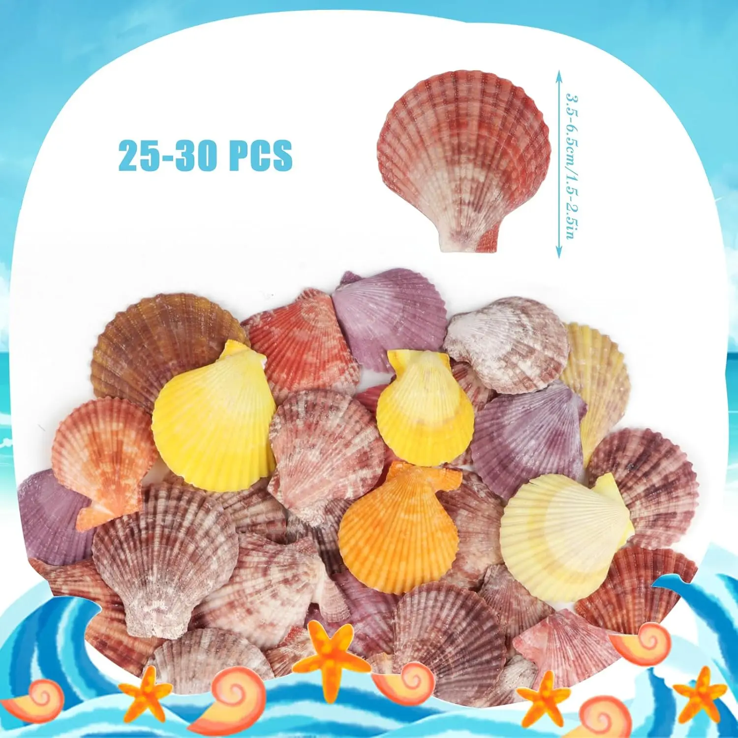 30pcs Colorful Scallop Shells, Used for Handicrafts, Wedding Decorations, Beach Themed Parties, Fish Tanks, and Vase Fillings