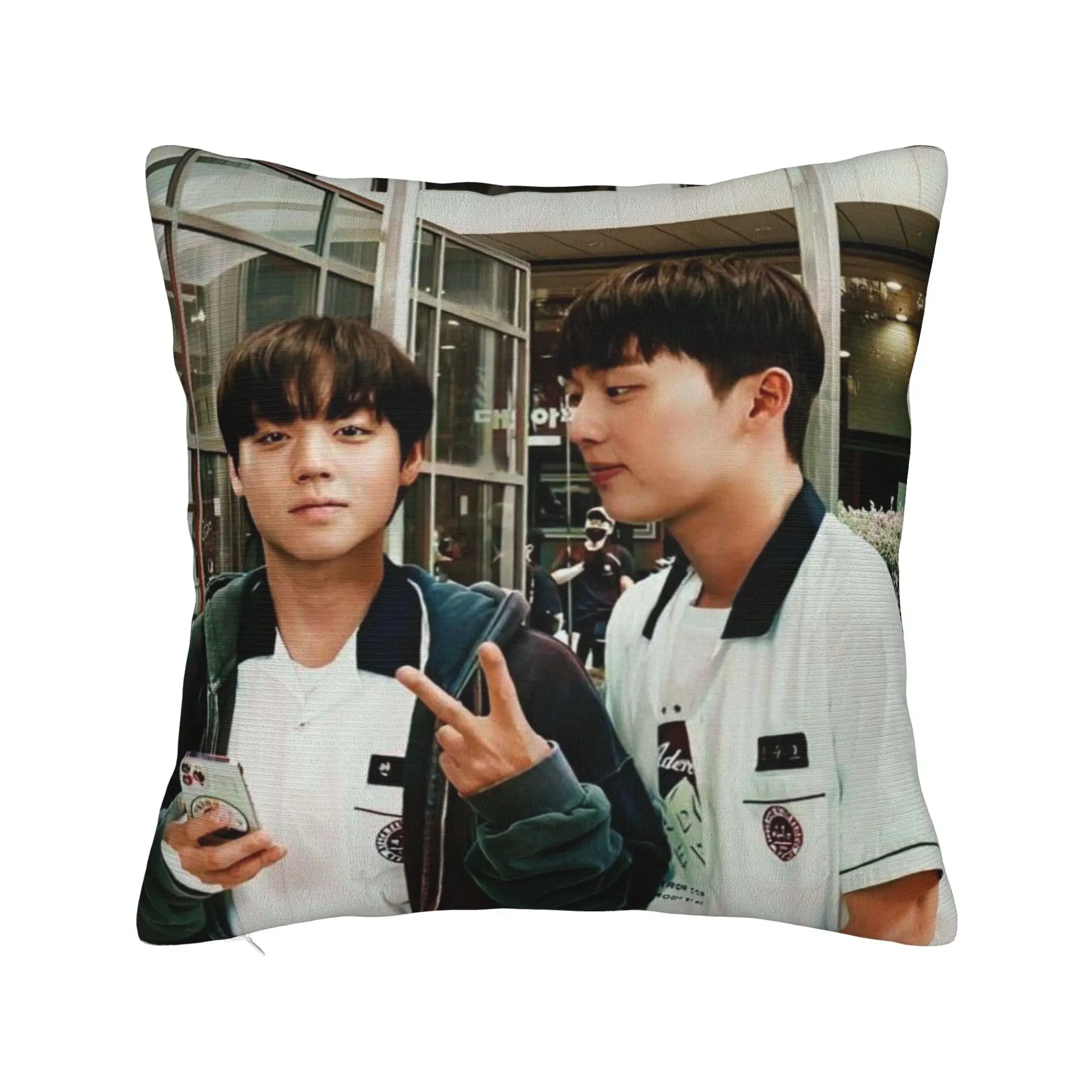 Pillow Cover Hot Kdrama Weak Hero Class  Vintage Pillow Case For Sofa Couch Bed Living Room Pillowcases