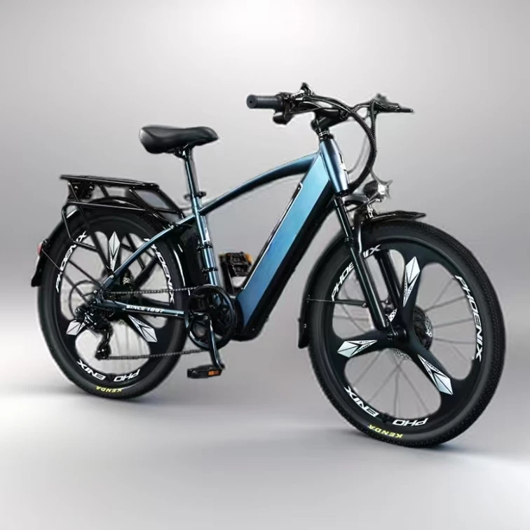 

26 inch 48V350W6AH power riding electric bicycle City electric bicycle three power electric bicycle
