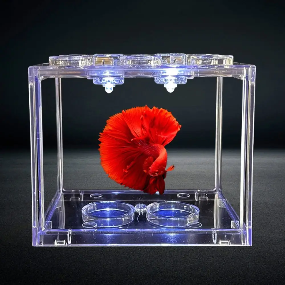 Mini Fish Tank Candle Lamp Decorative Square Submersible Mini LED Lights Plastic Colorful Fighting Fish Tank Fish Tank