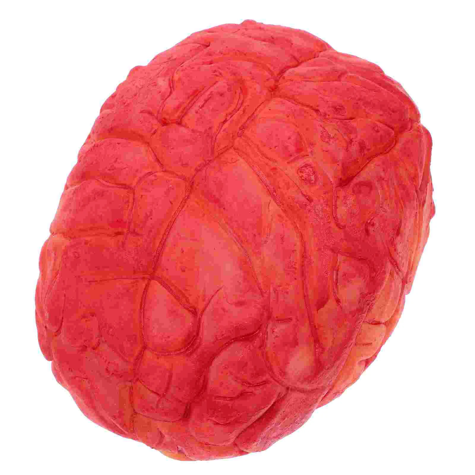 1Pc Halloween Prop Scary Fake Organ Human Brain Body Parts for Halloween Party Accessories(Dark Red)